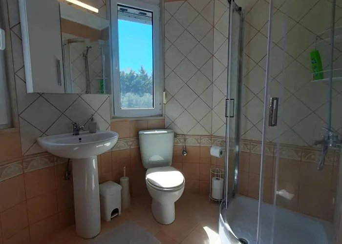 Bright New Garden * Chaniotis